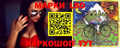 герыч Новокубанск