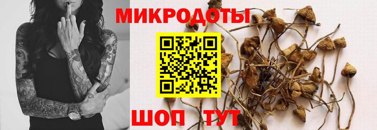 Псилоцибиновые грибы GOLDEN TEACHER Троицк