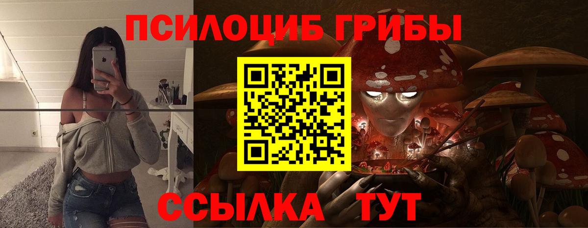 Псилоцибиновые грибы прущие грибы  Вход с VPN  Псилоцибиновые грибы Psilocybe  Троицк 